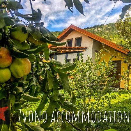 Guesthouse Zvono Plužine Kültér fotó